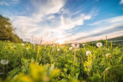 快手最新社会文案 热门视频文案素材大全