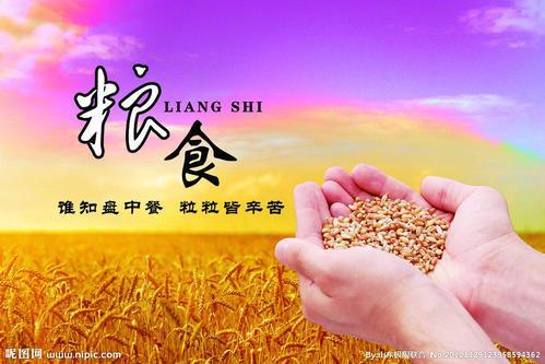 提倡珍惜粮食演讲稿精选