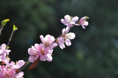 很有哲理的古人小故事两则含感悟