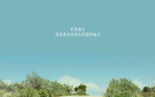 珍惜彼此感情的句子50句