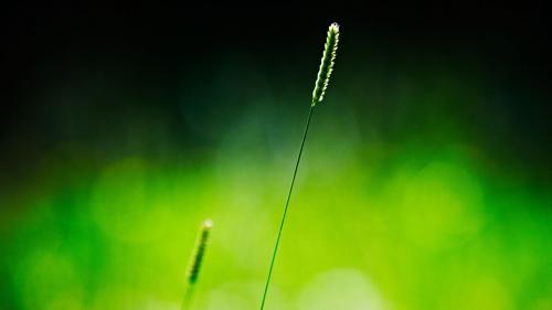 唯美爱情古风句子
