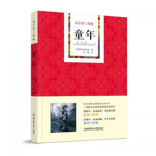 《童年》读后感300字精选五篇