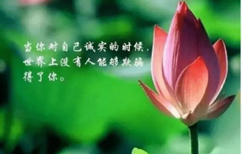 人生感悟经典哲理