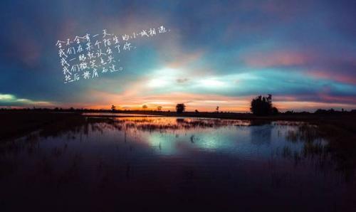经典语句摘抄大全