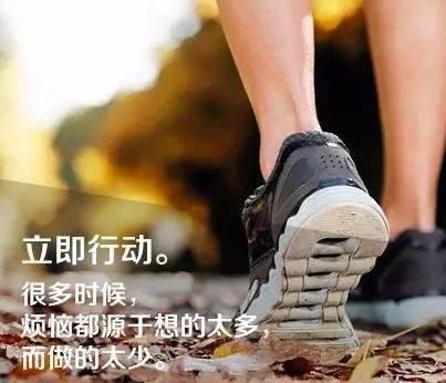 励志的小故事及感悟：两只鸽子的故事