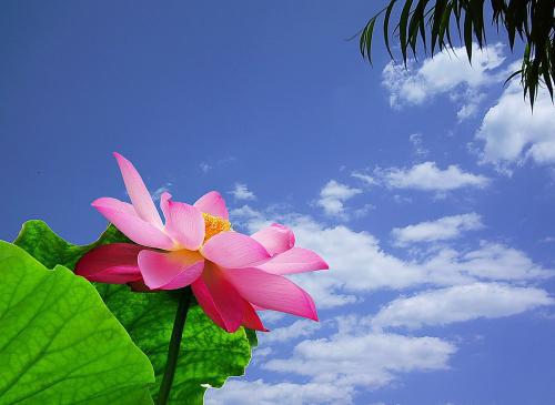 两座寺庙——要主动承担责任
