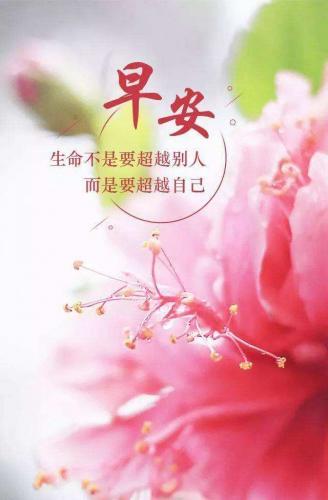 关于早上好的句子