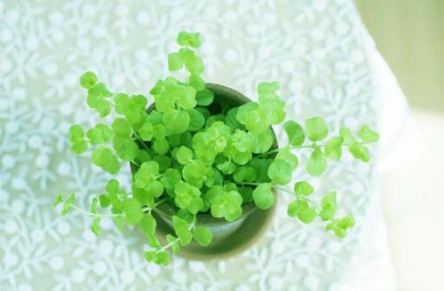 教孩子忍耐很重要：忍耐是孩子勇攀人生高峰的基石