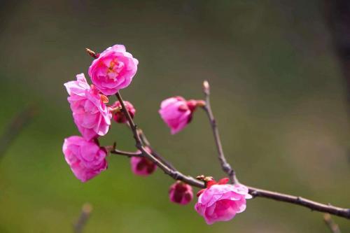 小故事大道理3则含感悟
