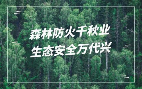 关于森林防火的标语