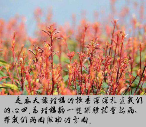每日都要抽点时间读书
