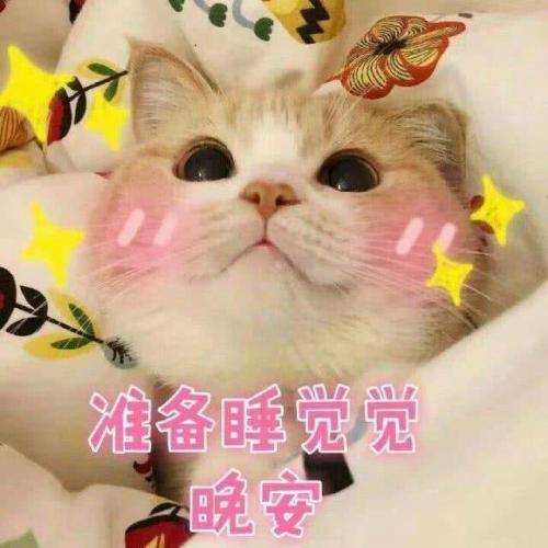 萌到炸的说说大全