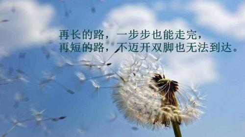 在逆境中奋斗的励志名言大全