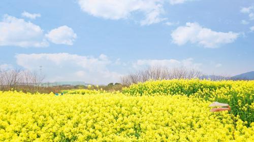 励志人生感言：无论在什么情况下，都可以生活得很快乐