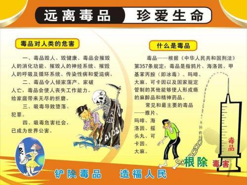 6.26国际禁毒日宣传演讲稿范文大全