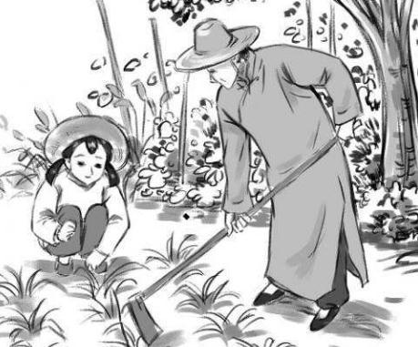 呼兰河传读书笔记五篇