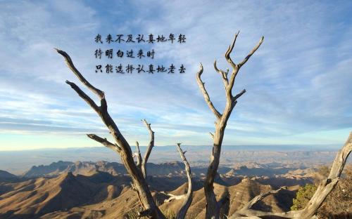 励志美文摘抄推荐