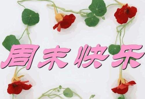 60句超级贴心的周末问候祝福语句，给重要的人