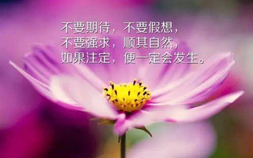 正能量图片大全
