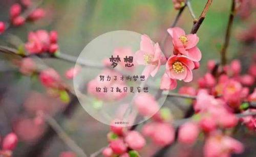正能量图片大全