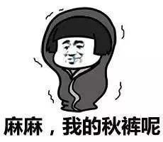 关于天冷的搞笑说说：他人笑我穿的厚，我笑他人冻成狗