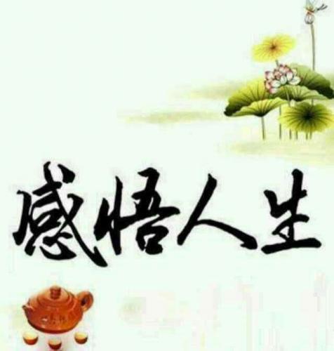 感悟人生的十句话[切身体会]