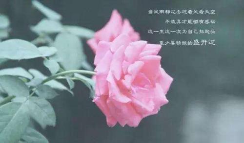 保持积极心态的小故事5则