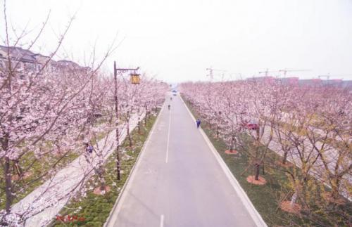 奋斗青春励志作文800字大全