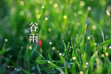 关于谷雨的经典诗