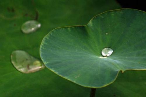 吊唁短信节哀顺变