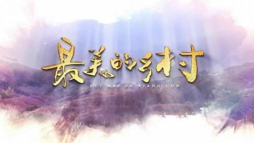 党员干部收看《最美的乡村》观后感心得范文大全