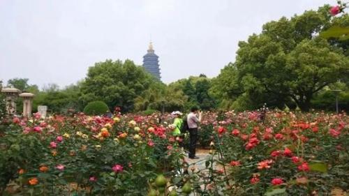 2019年寒假日记300字