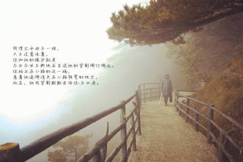 《目送》读书笔记摘抄