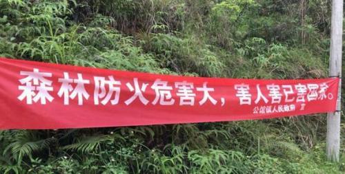 森林防火的标语精选40句