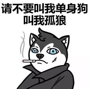形容单身狗的搞笑句子