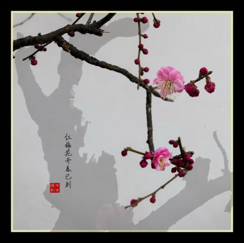 心烦的时候，记住这三句话