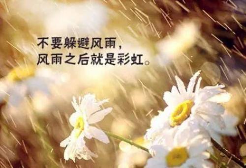 莫泊桑文章集