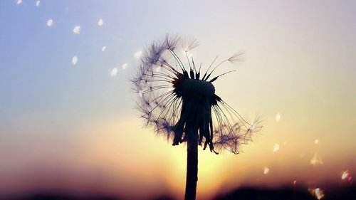 两兄弟运水蜜桃的故事~学会控制自己
