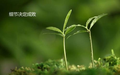 细节决定成败正反事例