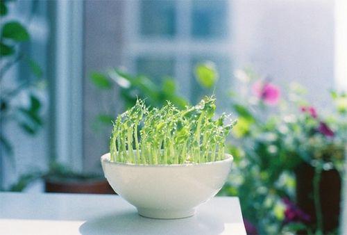 智辩律师