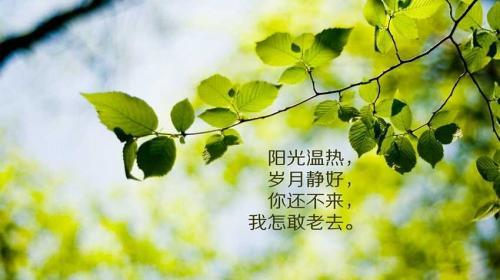 人生感悟经典哲理