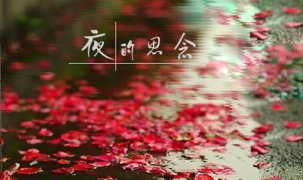 关于思念的唯美句子40句