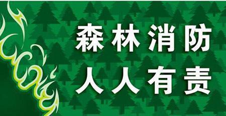 简短森林防火标语大全