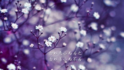 关于梦想：好高骛远是空想，脚踏实地才是梦想