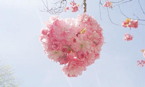 名家写景美文选段200字