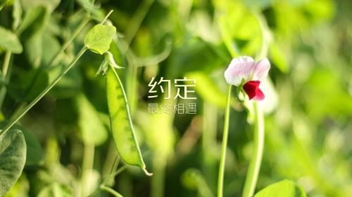 正确认识自我的小故事3则及感悟