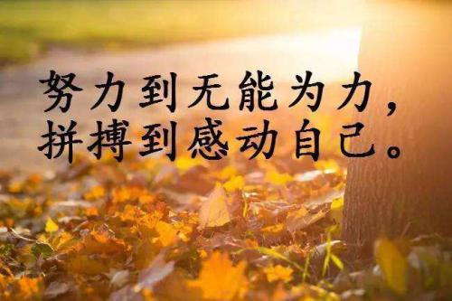 2017感悟人生哲理句子全网最经典收藏88句