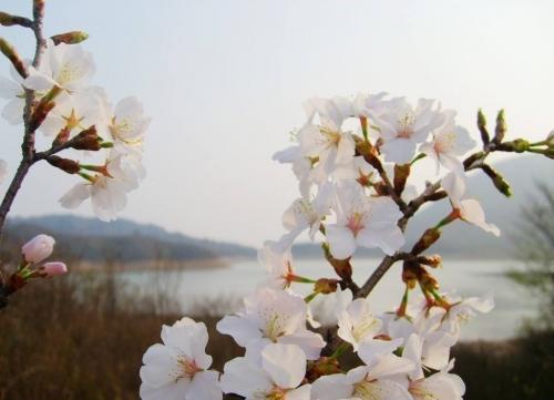 关于责任感：尽职尽责的理发师