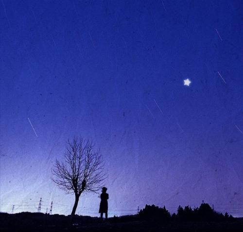追寻夜空中最亮的星
