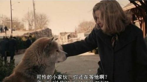 《忠犬八公》经典感人台词30句精选